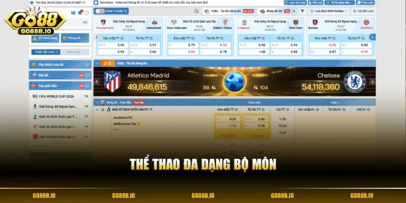 Thể thao đa dạng bộ môn